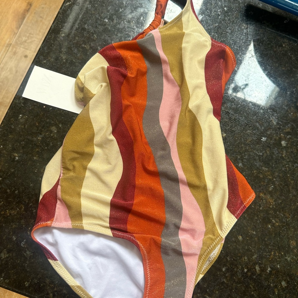 Multicolor Striped Swimsuit